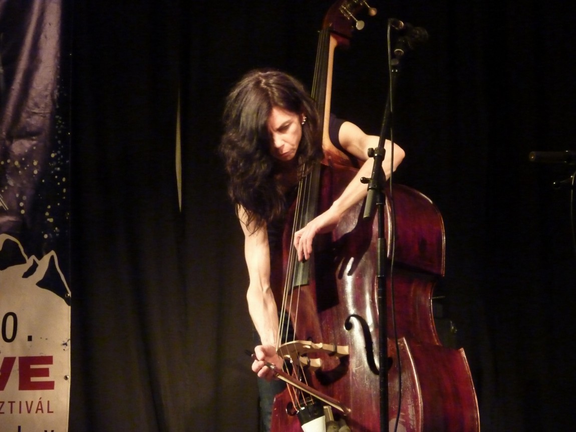 n_20100515_2110550_limmitationes.jpg