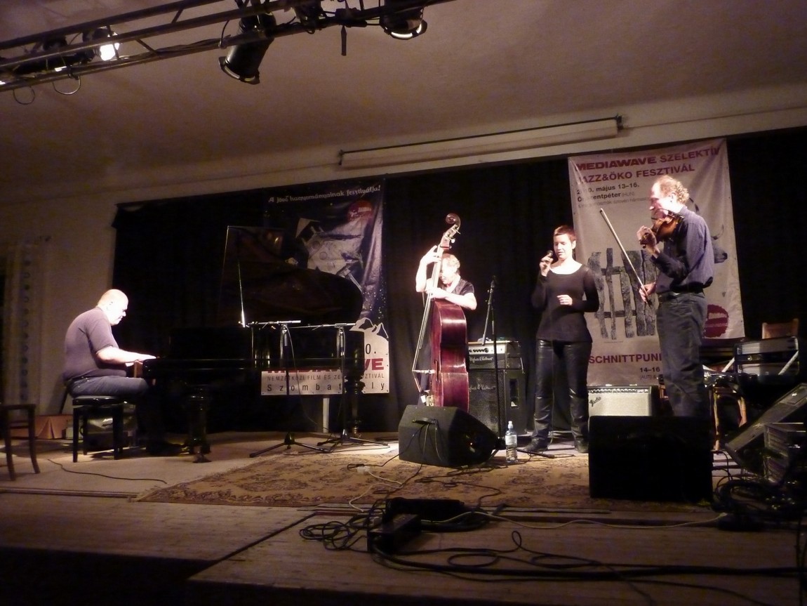 n_20100515_2250160_limmitationes.jpg