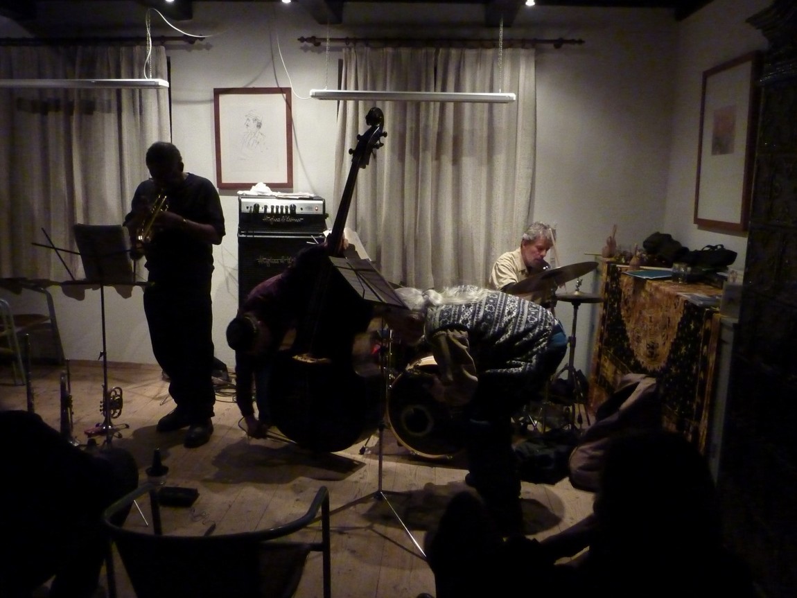 n_20110127_2216050_thenuband_by_oswald_schechtner.jpg