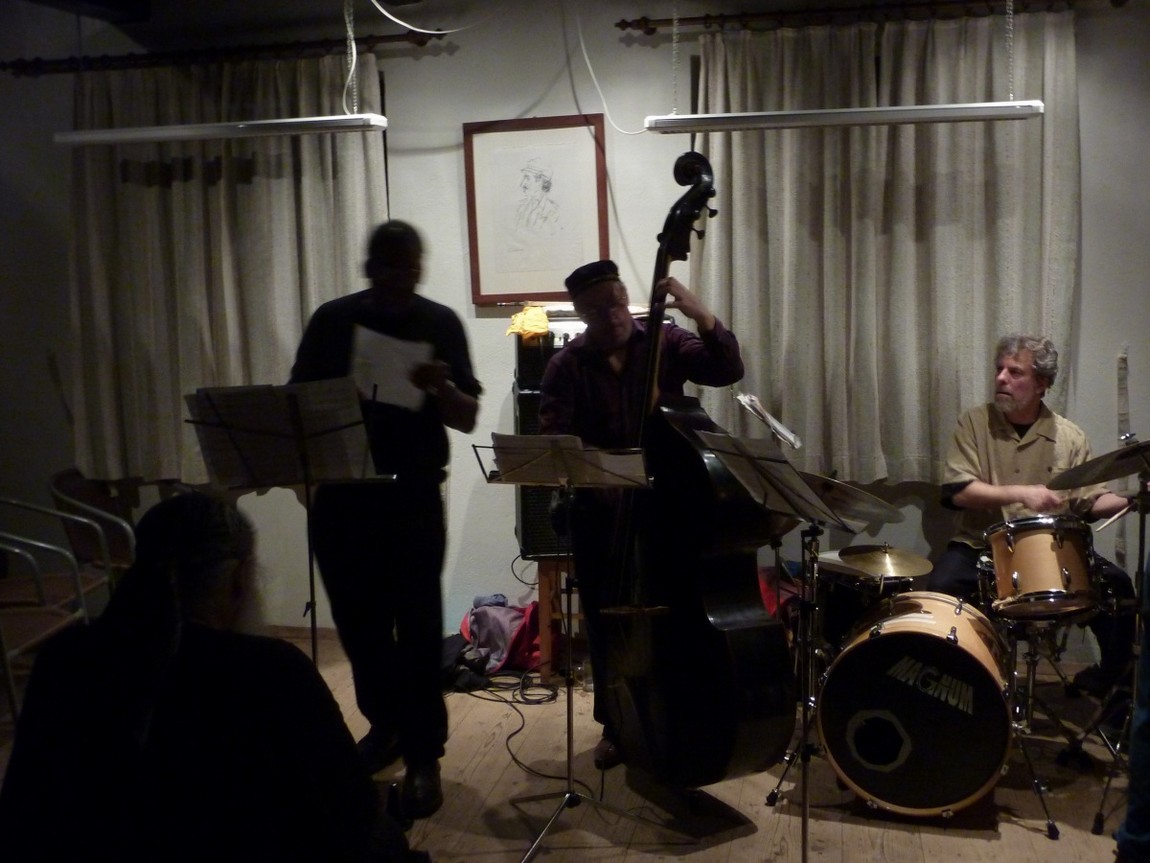 n_20110127_2321370_thenuband_by_oswald_schechtner.jpg