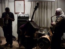 20110127_2216330_TheNuBand_by_oswald_schechtner.jpg