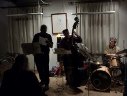 20110127_2321370_TheNuBand_by_oswald_schechtner.jpg